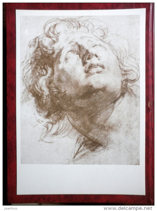 Drawing by Peter Paul Rubens - Head of a Youth , 1615 - maxi card - flemish art - 1977 - unused - JH Postcards