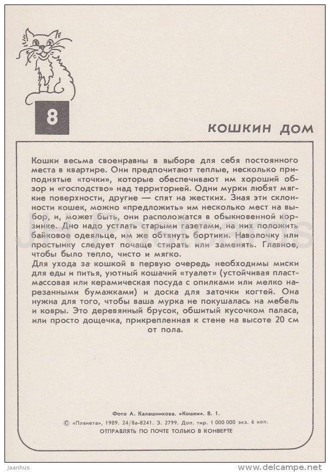 British Shorthair Cat - cats - Russia USSR - 1989 - unused - JH Postcards