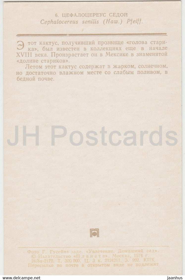 Old man cactus - Cephalocereus senilis - Cactus - flowers - 1974 - Russia USSR - unused