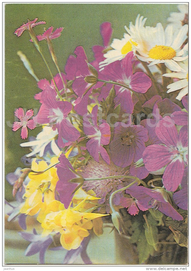 flowers - 1982 - Estonia USSR - used - JH Postcards