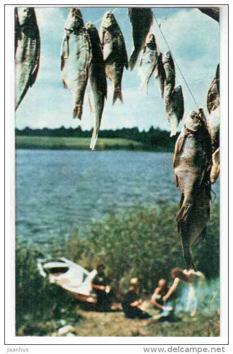 gifts of the lake Seliger - dried fish - Lake Seliger - 1968 - Russia USSR - unused - JH Postcards