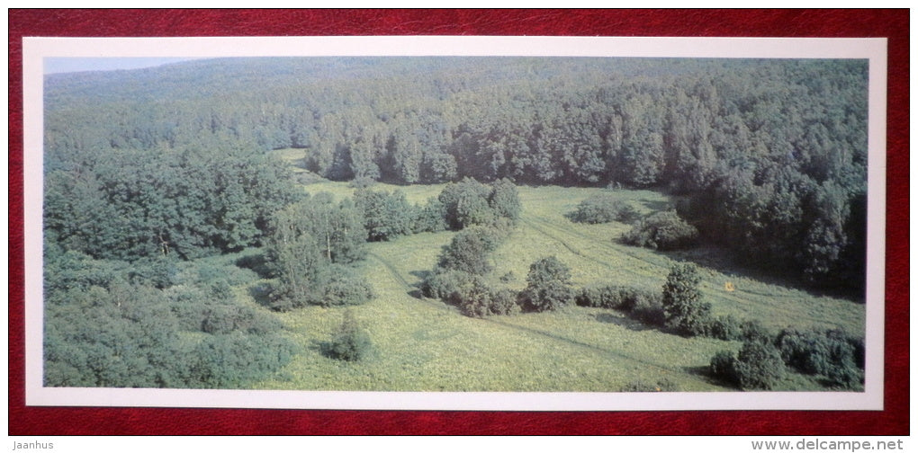 forest - Yasnaya Polyana - Museum-Estate of Leo Tolstoy - 1976 - Russia USSR - unused - JH Postcards
