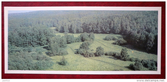 forest - Yasnaya Polyana - Museum-Estate of Leo Tolstoy - 1976 - Russia USSR - unused - JH Postcards