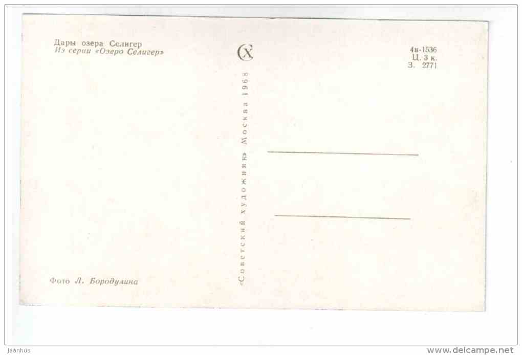 gifts of the lake Seliger - dried fish - Lake Seliger - 1968 - Russia USSR - unused - JH Postcards