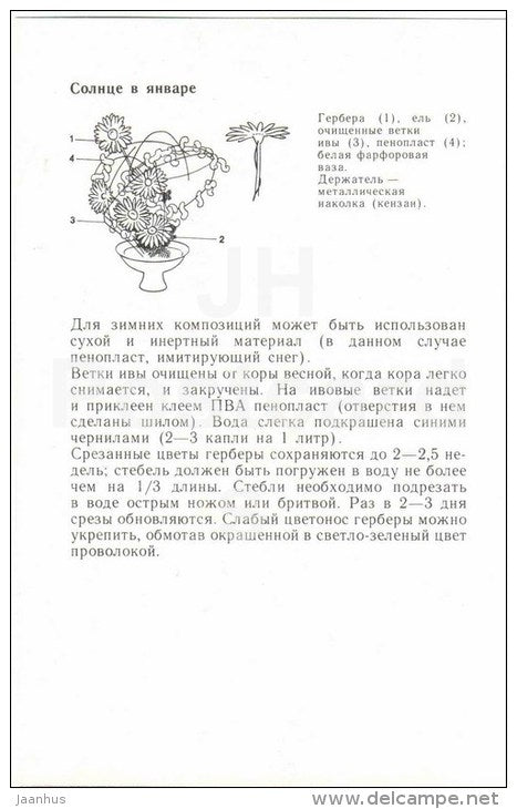 Sun in January - gerbera - bouquet - ikebana - flowers - 1985 - Russia USSR - unused - JH Postcards