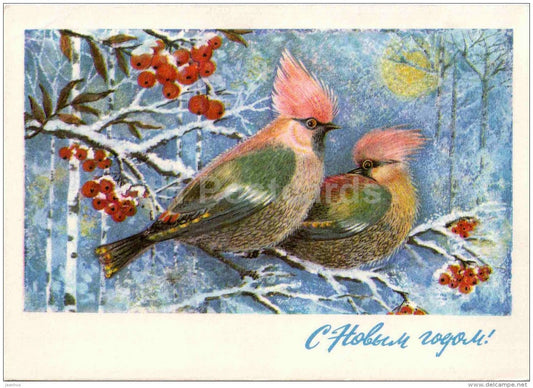 New Year Greeting card by L. Manilova - birds - rowan berries - postal stationery - 1975 - Russia USSR - unused - JH Postcards