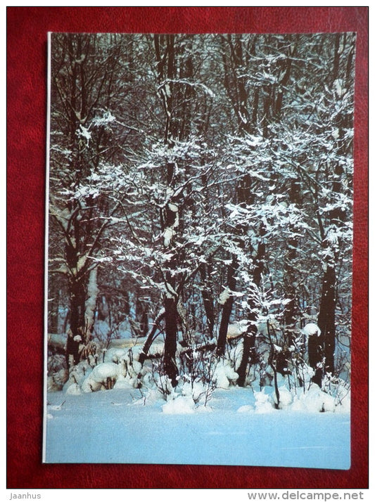 New Year greeting card - winter forest - 1991 - Estonia USSR - used - JH Postcards