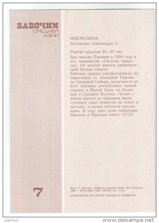 Clouded apollo - Parnassius mnemosyne - butterfly - Central Asia butterflies - 1989 - Russia USSR - unused - JH Postcards