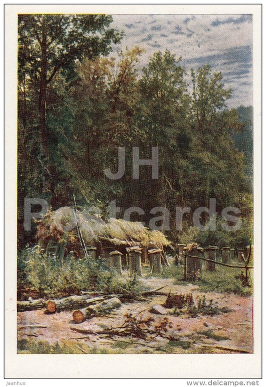 painting by I. Shishkin - Apiary , 1882 - Russian art - Russia USSR - 1963 - unused - JH Postcards