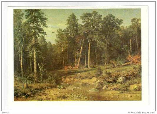 painting by I. I. Shishkin - Pinery . Pine Forest in Vyatka province , 1872 - russian art - unused - JH Postcards