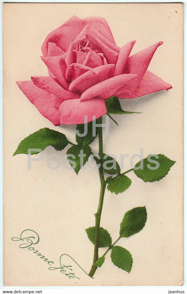 Birthday Greeting Card - Bonne Fete - pink rose - flowers - 557 - old postcard - 1920 - Germany - used - JH Postcards