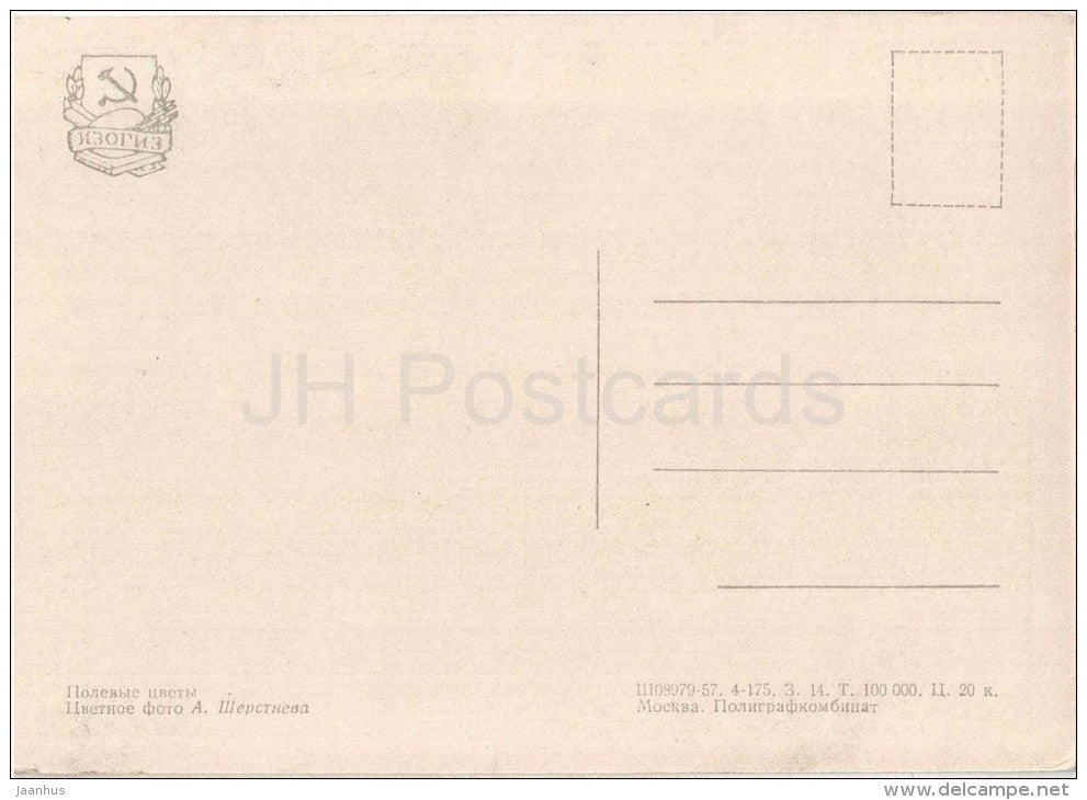 Arable Flowers - cornflower - 1957 - Russia USSR - unused - JH Postcards