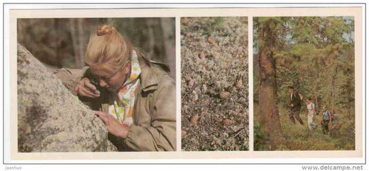scientist - geologist - forest paths - Lapland reserve - 1980 - Russia USSR - unused - JH Postcards