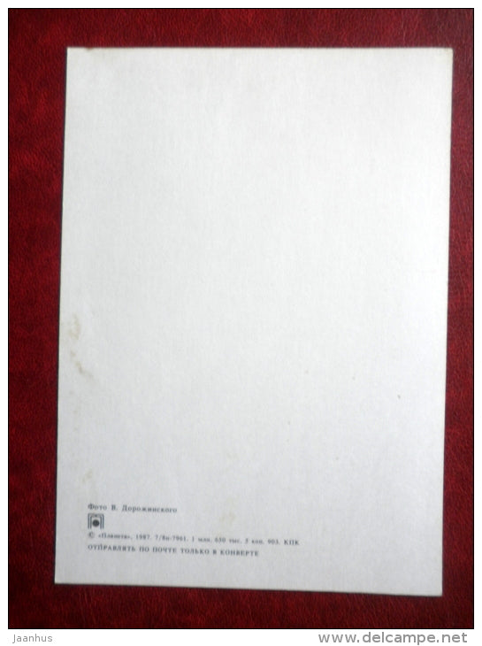 New Year greeting card - winter forest - 1987 - Russia USSR -unused - JH Postcards