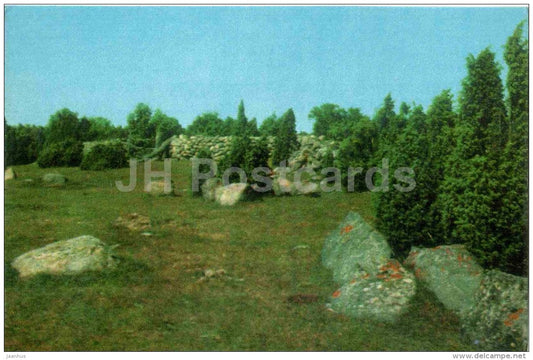 pastures with junipers - Saaremaa island - 1974 - Estonia USSR - unused - JH Postcards