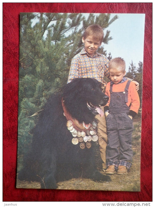 Newfoundland - dogs - 1987 - Estonia - USSR - unused - JH Postcards