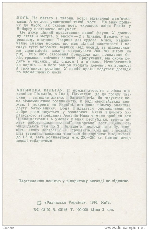 Moose - Antelope - Kiev Kyiv Zoo - 1976 - Ukraine USSR - unused - JH Postcards