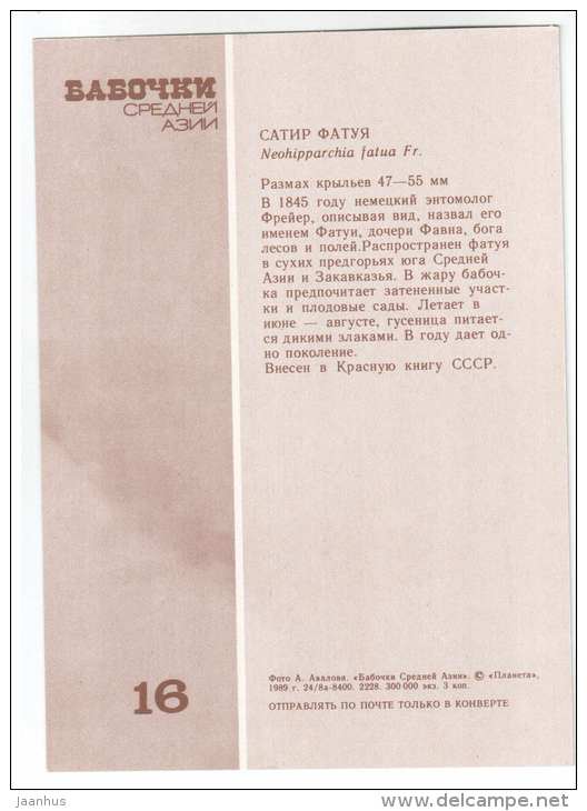 Freyer's Grayling - Neohipparchia fatua - butterfly - Central Asia butterflies - 1989 - Russia USSR - unused - JH Postcards
