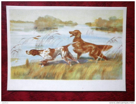 Painting by V. I. Kurdov - bird hunting dogs - russian art - unused - JH Postcards