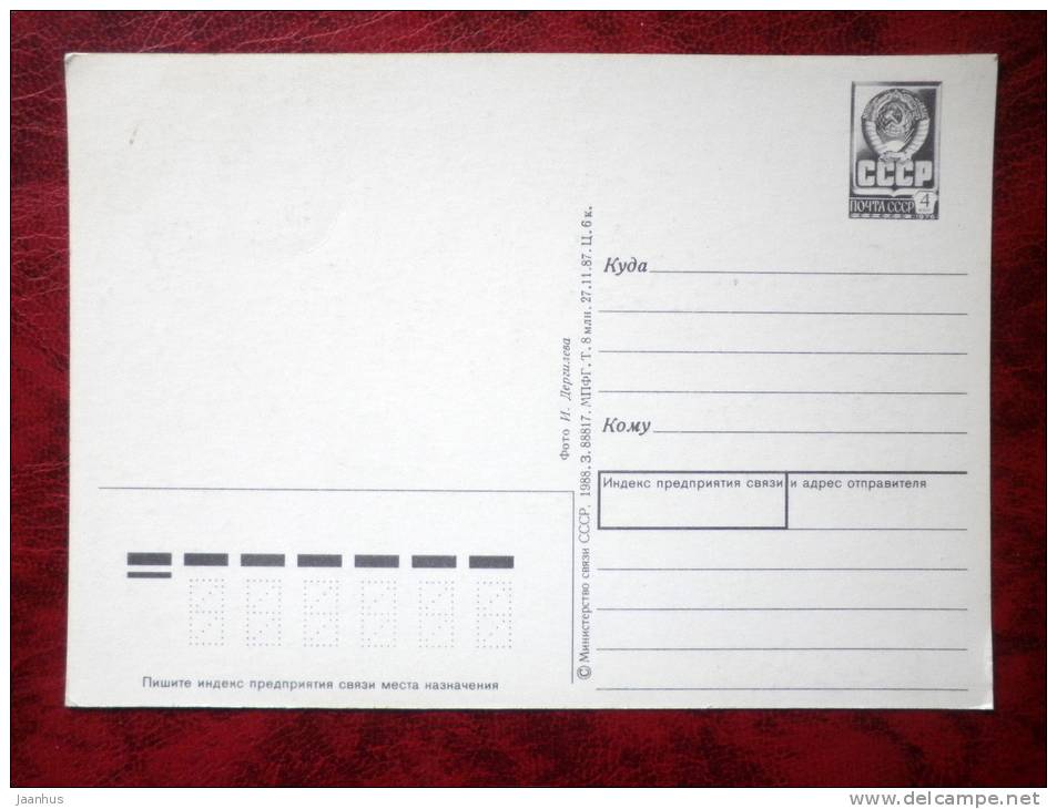 greeting card - flowers - Russia - USSR - unused - JH Postcards