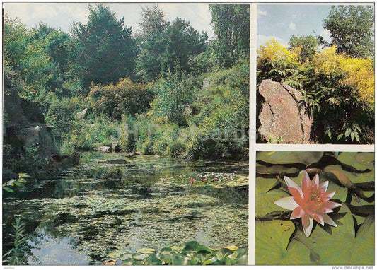 alpinarium - Aruncus dioicus - Water lily , Nymphaea - Moscow Botanical Garden - 1988 - Russia USSR - unused - JH Postcards