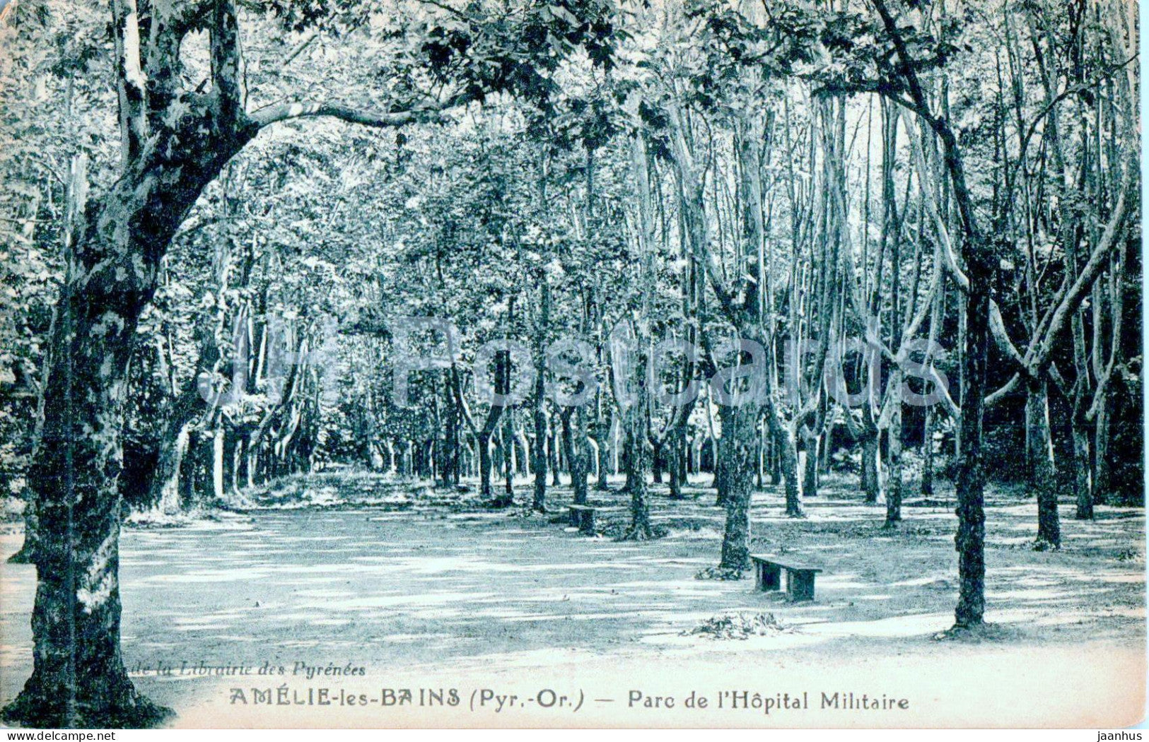 Amelie les Bains - Parc de l'Hopital Militaire - Military Hospital Park - old postcard - 1912 - France - unused - JH Postcards