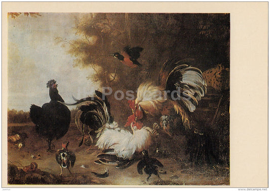 painting  by Melchior d'Hondecoeter - Cock Fights - Dutch art - 1973 - Russia USSR - unused - JH Postcards