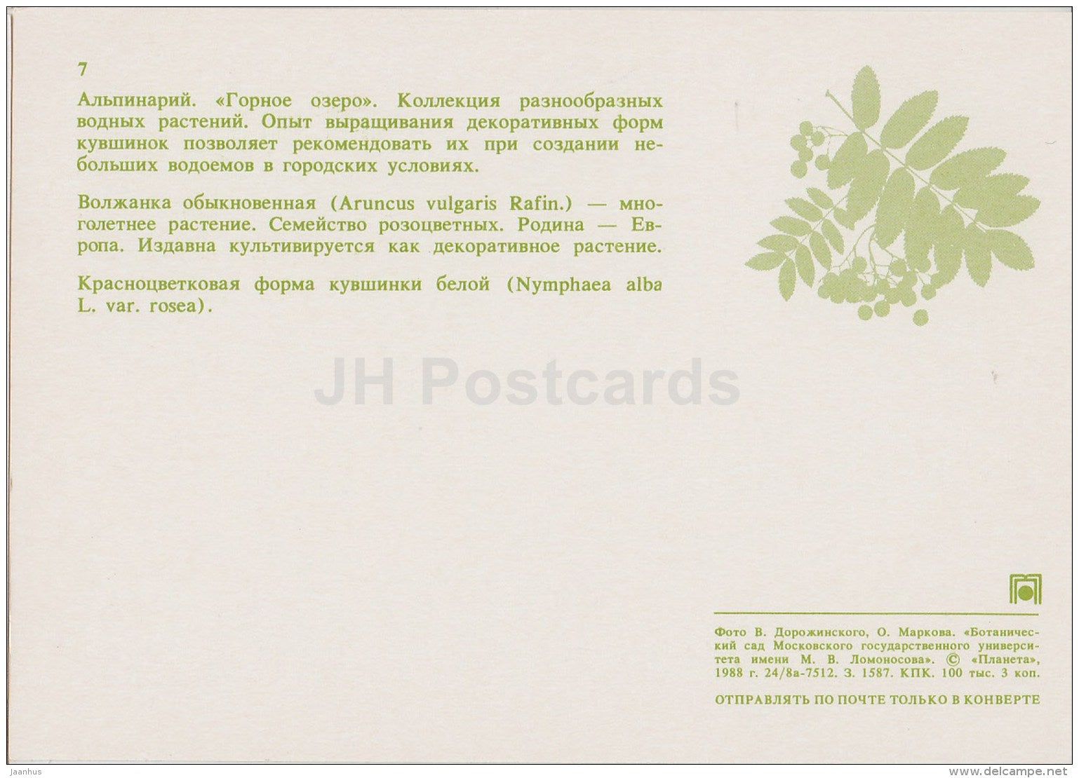 alpinarium - Aruncus dioicus - Water lily , Nymphaea - Moscow Botanical Garden - 1988 - Russia USSR - unused - JH Postcards