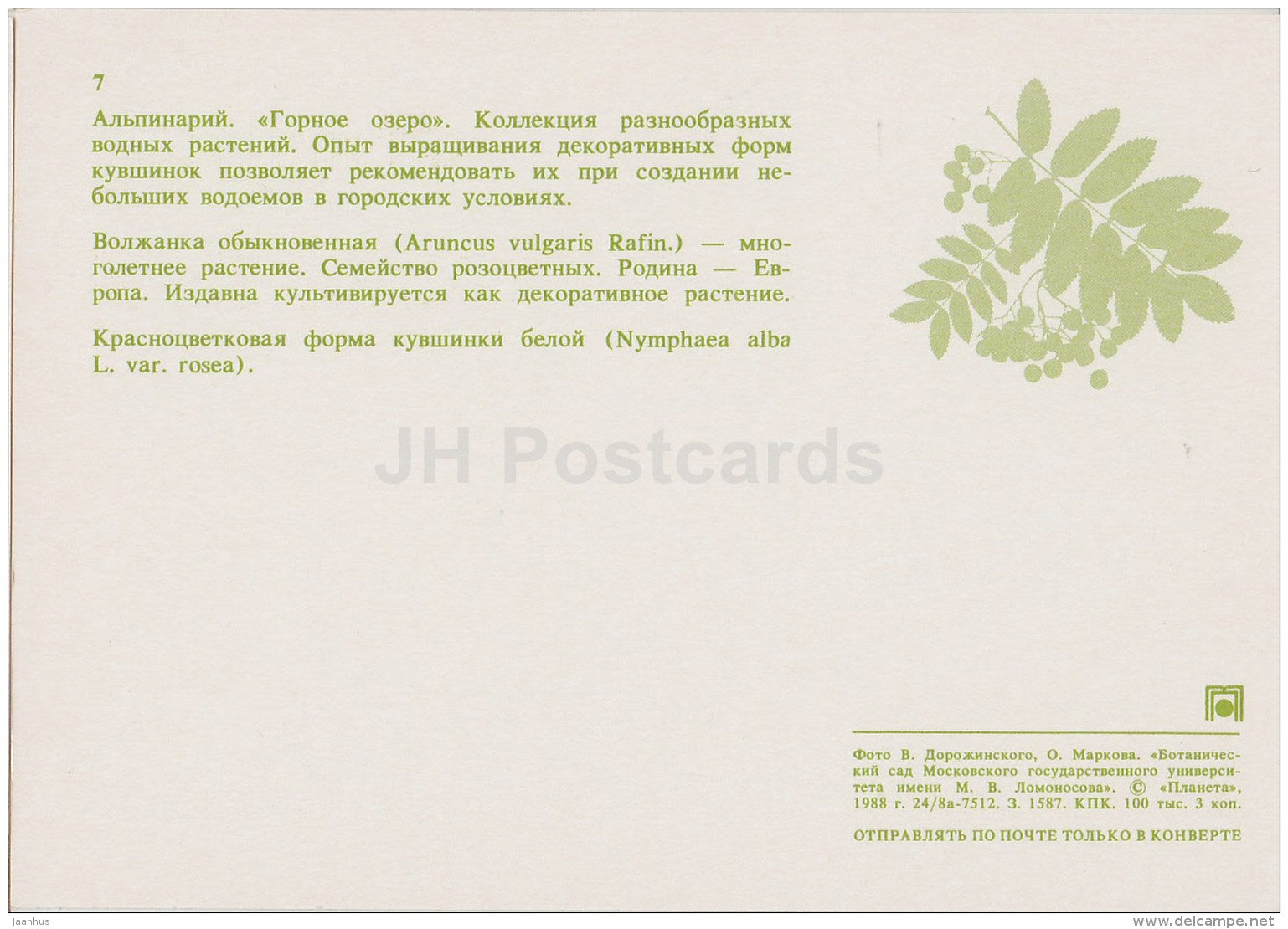alpinarium - Aruncus dioicus - Water lily , Nymphaea - Moscow Botanical Garden - 1988 - Russia USSR - unused - JH Postcards