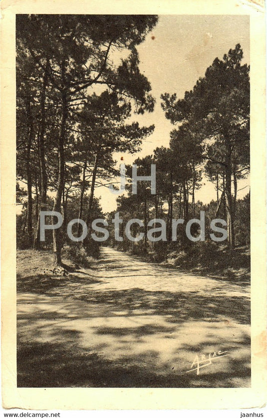 Ile D'Oleron - Allee de Vert Bois - 11 - old postcard - France - unused - JH Postcards