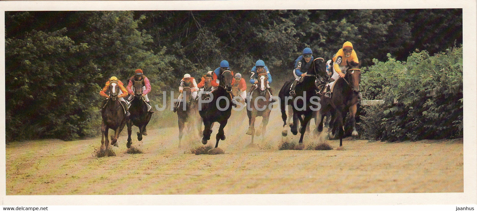 Horse racing - horse breeds - 1 - 1988 - Russia USSR - unused - JH Postcards