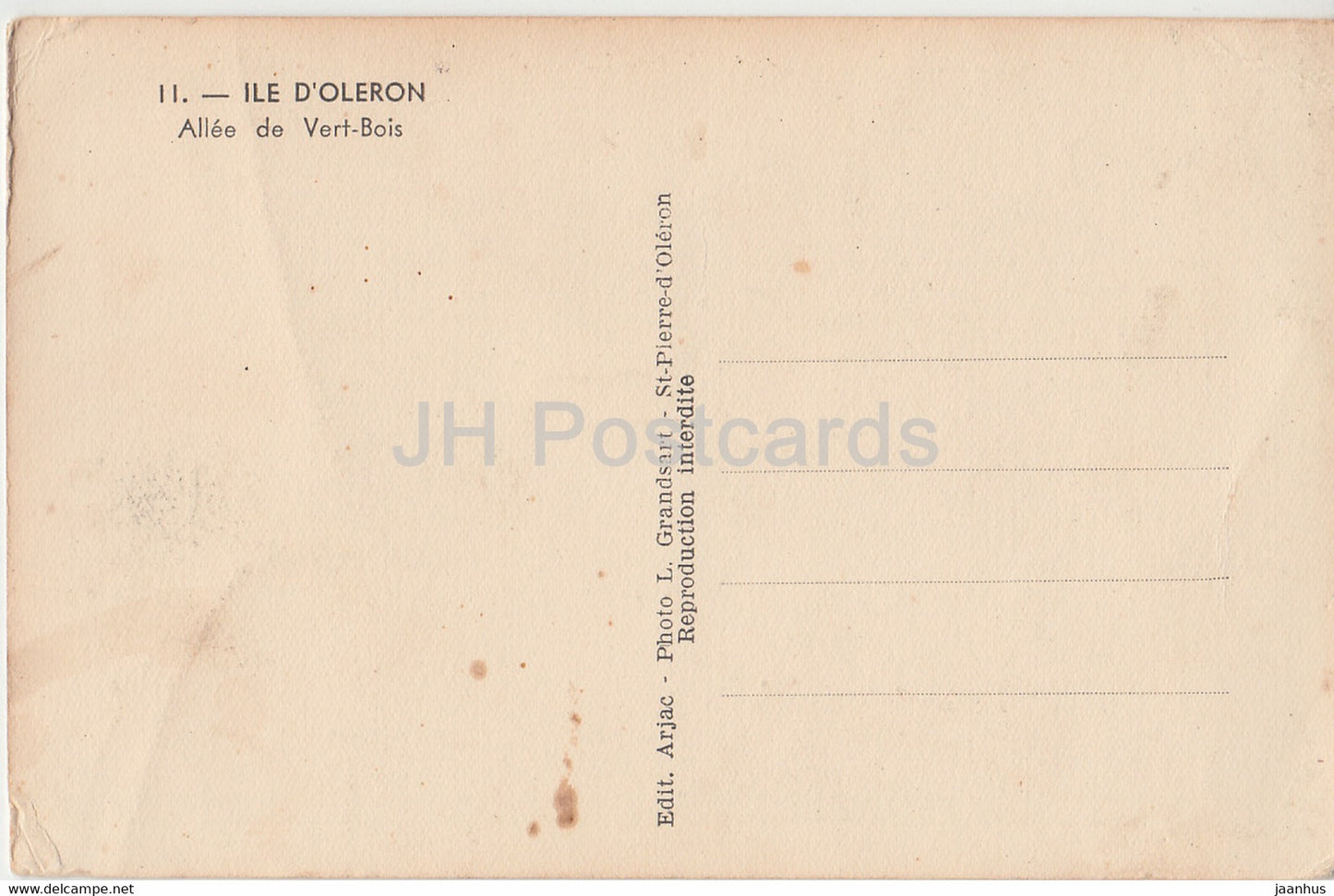 Ile D'Oleron - Allee de Vert Bois - 11 - old postcard - France - unused