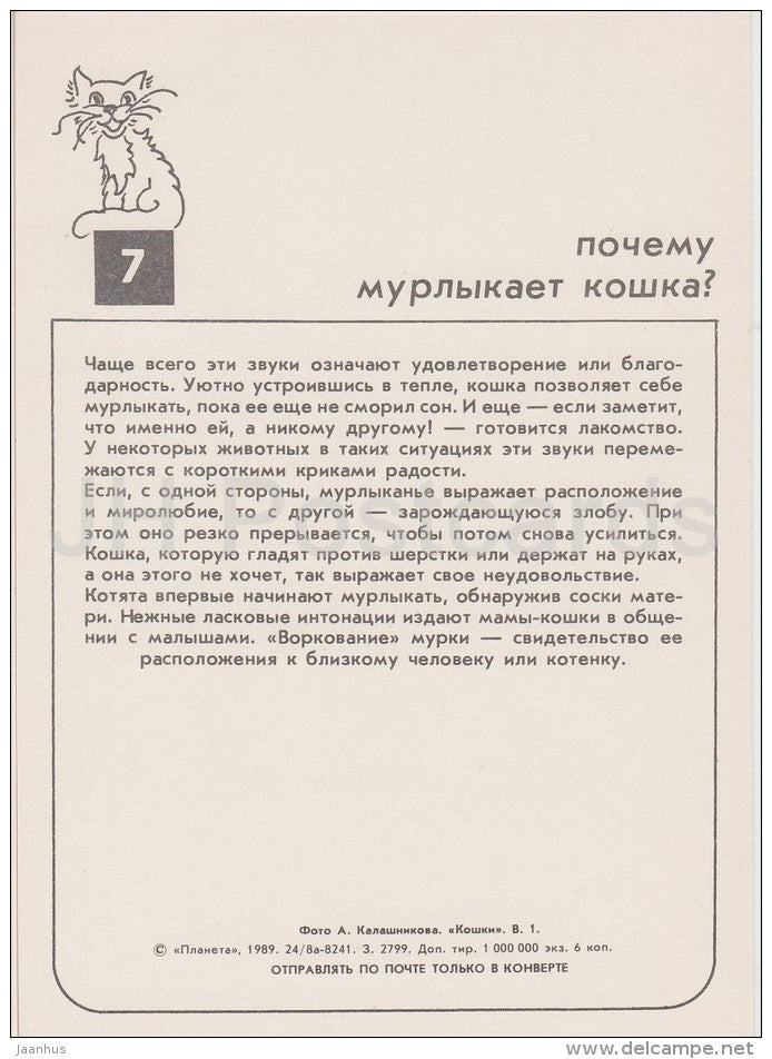 British Shorthair Black Cat - cats - Russia USSR - 1989 - unused - JH Postcards