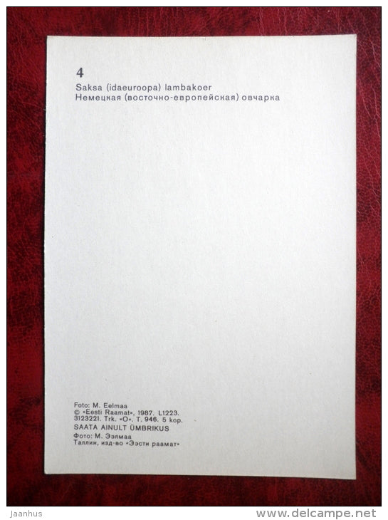 German Shepherd Dog - dogs - 1987 - Estonia - USSR - unused - JH Postcards