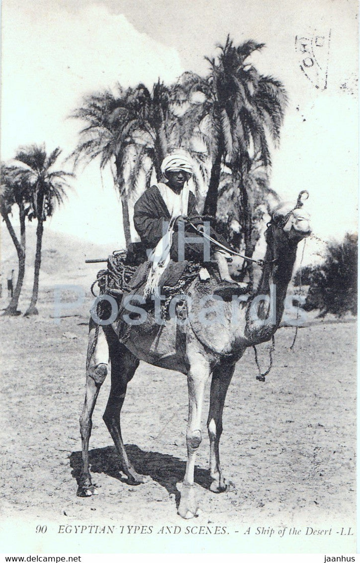 Egyptian Types and Scenes - A Ship of the Desert - camel - LL - old postcard - 1908 - Egypt - used - JH Postcards