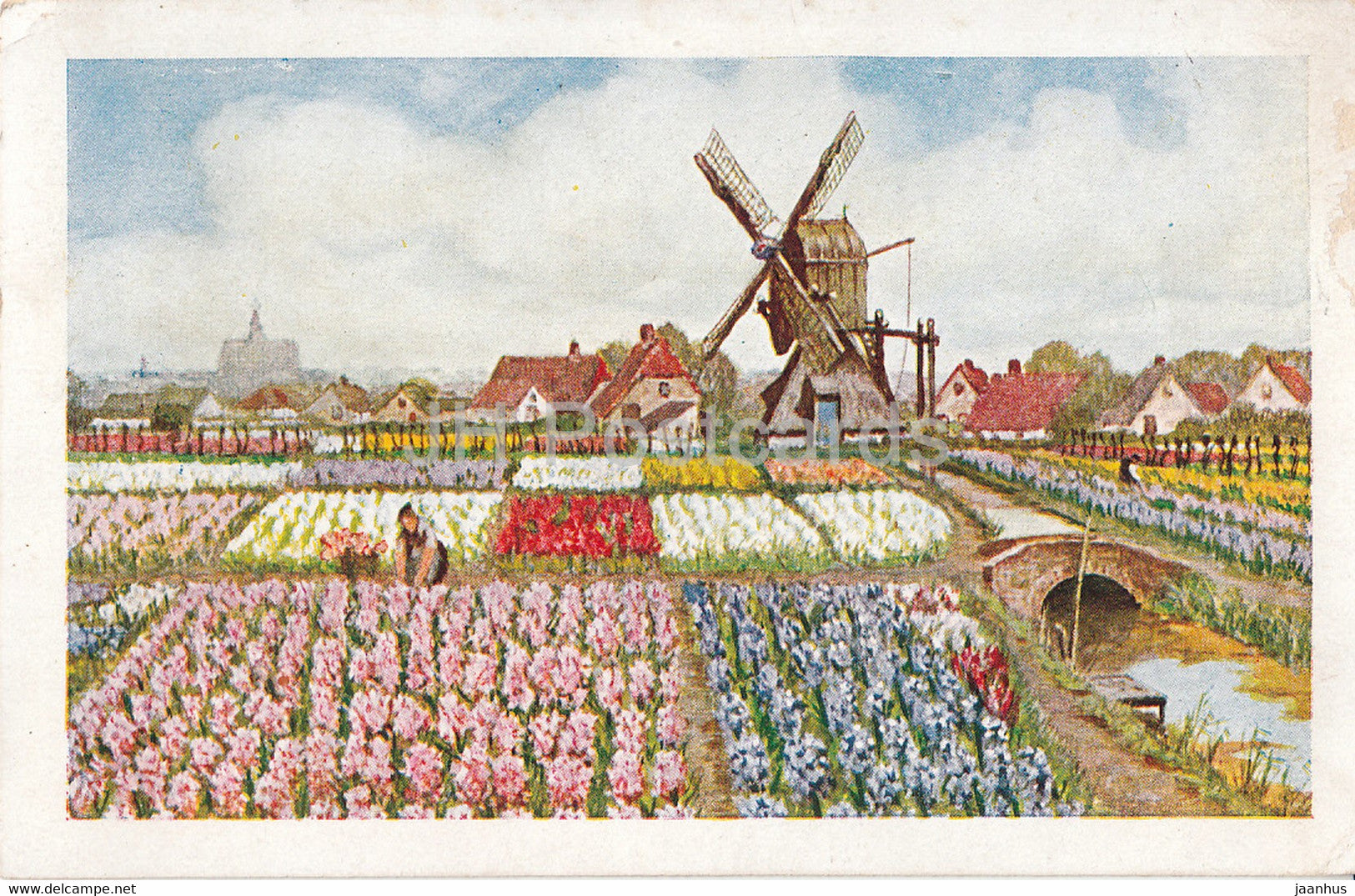 Flower Field - windmill - D B M 88 - old postcard - 1934 - Netherlands - used - JH Postcards