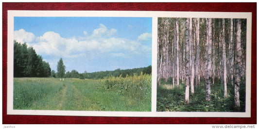 Viburnum meadow - Museum-Estate of Leo Tolstoy - 1976 - Russia USSR - unused - JH Postcards