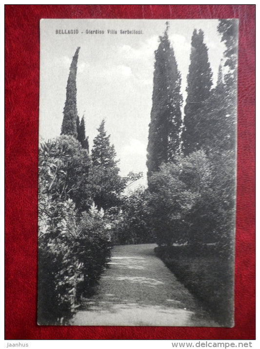 Giardino Villa Serbelloni - Bellagio -2834 - garden - trees - old postcard - Italy - unused - JH Postcards