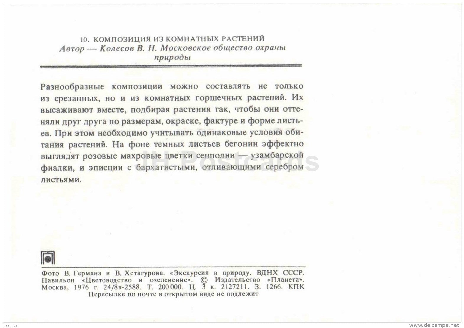 the composition of potted plants - flowers - floriculture and gardening pavilion - 1976 - Russia USSR - unused - JH Postcards