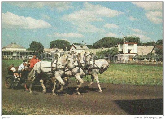 Stock-raising area - horse carriage - USSR Exhibition of Economic Achievements - 1981 - Russia USSR - unused - JH Postcards