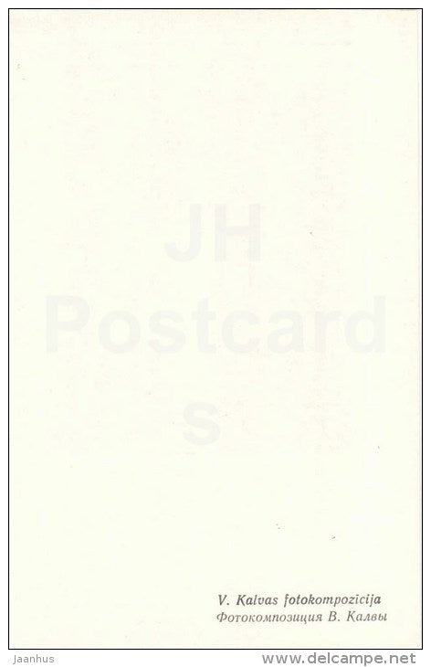 ikebana - flowers composition - 1 - 1981 - Latvia USSR - unused - JH Postcards