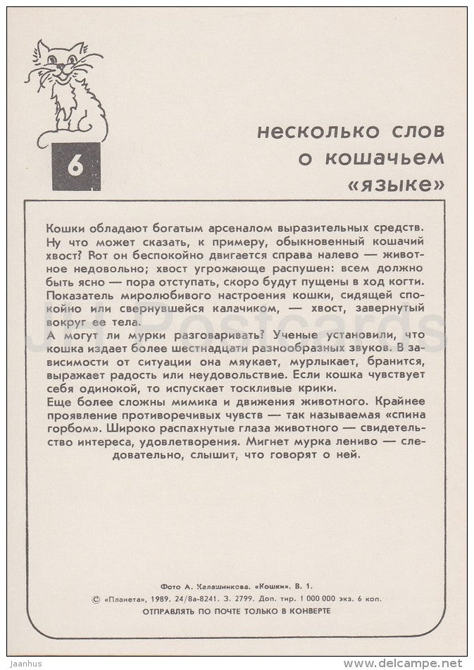 Persian Cream Cat - cats - Russia USSR - 1989 - unused - JH Postcards