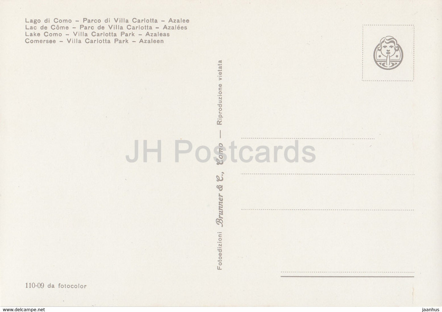 Lago di Como - Parco di Villa Carlotta - Azalee - Park of Villa Carlotta - Azaleas - flowers - Italy - Italia - unused