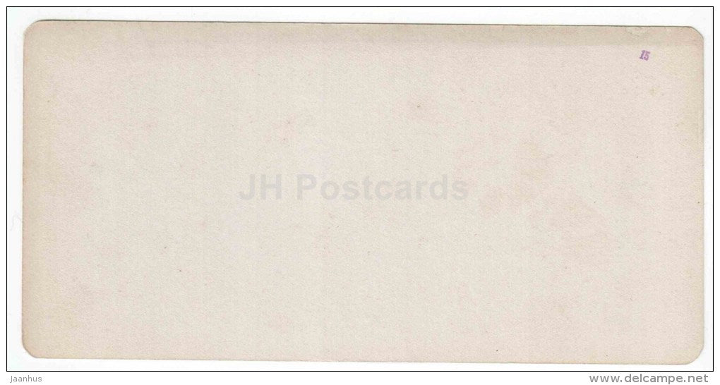 Source No. 4 - Yessentuki - Caucasus - Russia - Russie - stereo photo - stereoscopique - old photo - JH Postcards