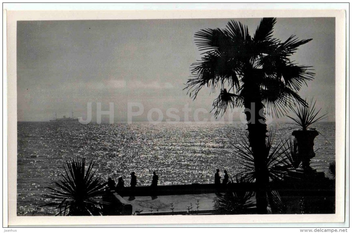 view at Sea - Sochi - photo card - 1960 - Russia USSR - unused - JH Postcards