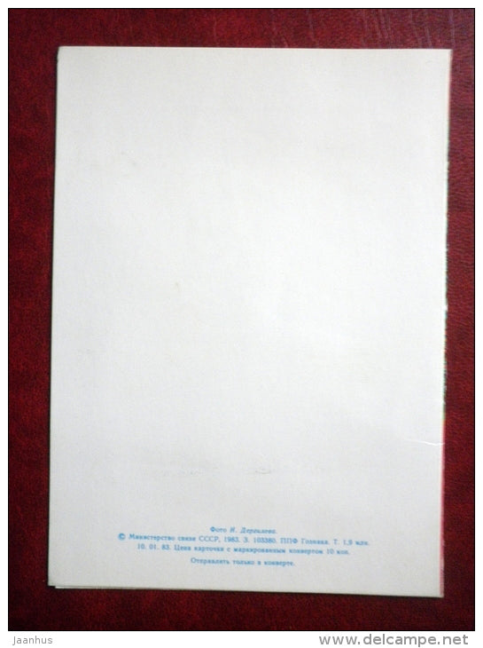 New Year Greeting card - decorations - by Dergilyeva - 1983 - Russia USSR - used - JH Postcards