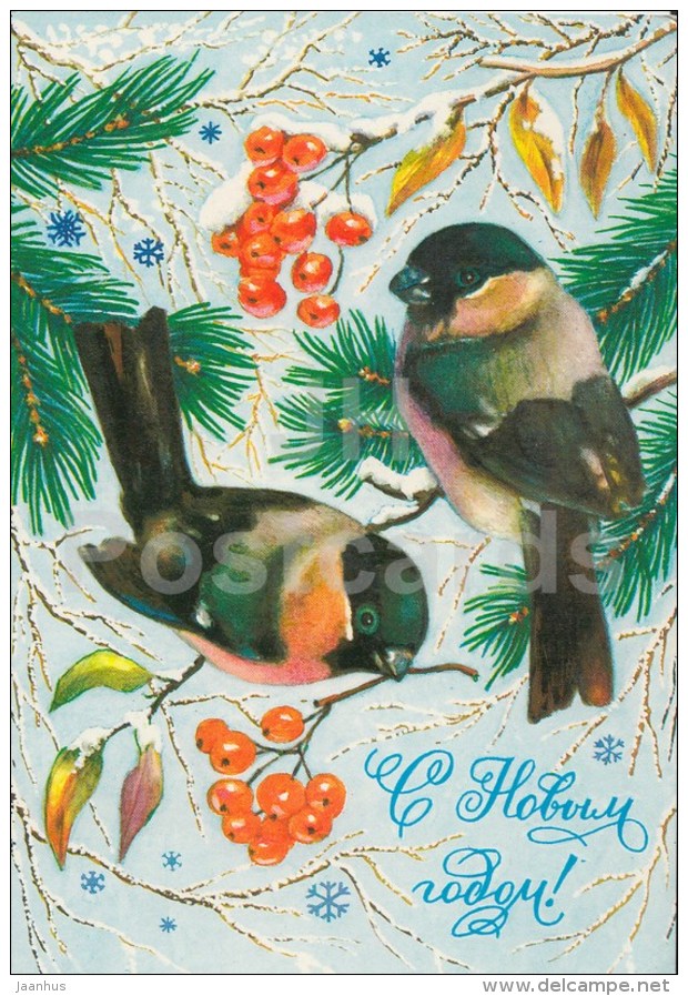 New Year greeting card by R. Dostyan - bullfinch - birds - rowan - postal stationery - AVIA - 1981 - Russia USSR - used - JH Postcards