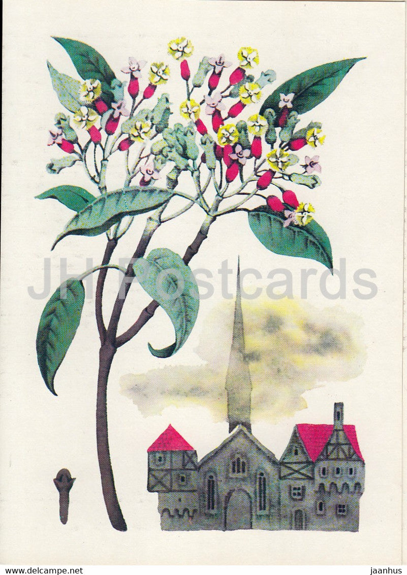 Allspice - Spice Plants - 1986 - Russia USSR - unused - JH Postcards