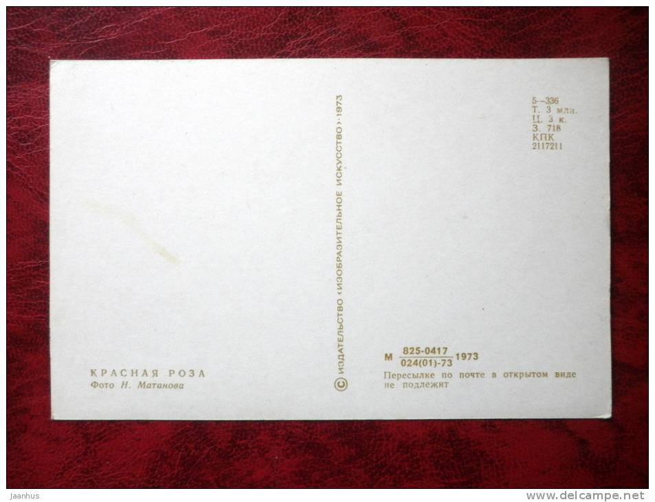 red rose - flowers - 1973 - Russia - USSR - unused - JH Postcards