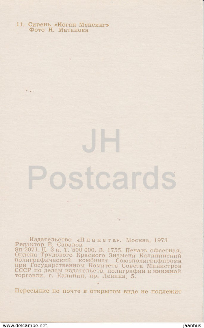 Johan Mensing - Lilac - Flowers - 1973 - Russia USSR - unused